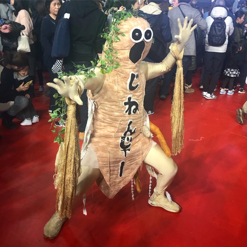 🌳 시로이 종합공원 (시로이소고코엔) 이미지 11